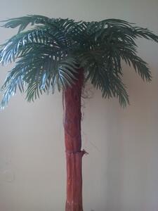 Palma areca 130 cm