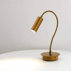 Stolová lampa 7538, mosadz brúsená, nastaviteľná, GU4-MR11, Hnedá / staromosadz, Obývacia izba / jedáleň, Mosadz, Moderný, Stojacie svietidlo