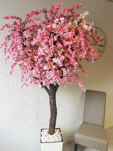 Kvitnúci strom- Japonská čerešňa 200 cm