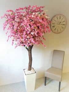 Kvitnúci strom- Japonská čerešňa 200 cm