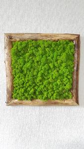 Machový obraz v masívnom ráme: 50cm x 50cm