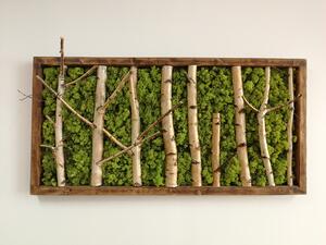 Machovo-brezový obraz 65cm x 130cm
