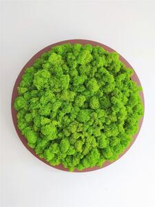 Machový obraz- kruh Ø20cm