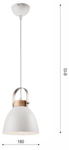 Luster na lane DANIELLE 1xE27/60W/230V