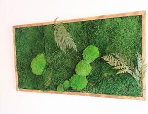 Machový obraz- lesný mach s papradím 30cm x 70cm