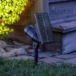 STAR TRADING LED solárny bodový reflektor Powerspot 19 cm RGBW, 80 lm, čierny, s kolíkom na, Čierna, Plast, Moderný, Solárne svietidlá