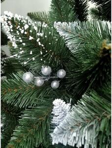 Limpol Vianočný stromček borovica Iza 2,40 m