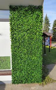 Umelý živý plot- buxus 50cm x 50cm