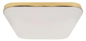 LED Kúpeľňové stropné svietidlo NEMO LED/17W/230V IP44 zlatá