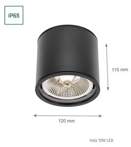Kúpeľňové bodové svietidlo CHLOE AR111 1xGU10/12W/230V IP65 guľatý čierna