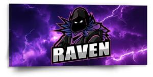 Sablio Obraz FORTNITE RAVEN Fialová búrka - 110x50 cm