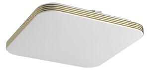 LED Kúpeľňové stropné svietidlo DABAR LED/17W/230V 4000K 33x33 cm IP44