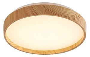 Rabalux 71143 - LED Stropné svietidlo LEANA LED/12W/230V 3000K pr. 26 cm