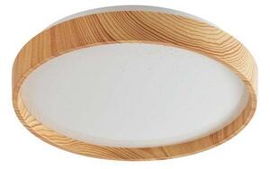Rabalux 71143 - LED Stropné svietidlo LEANA LED/12W/230V 3000K pr. 26 cm