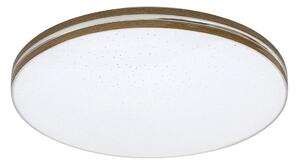 Rabalux 71177 - LED Stropné svietidlo OSCAR LED/18W/230V 3000K pr. 34 cm
