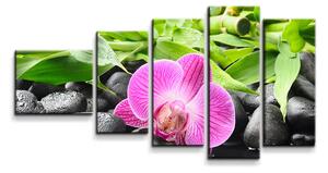 Sablio Obraz - 5-dílný Ružová Orchidea - 100x60 cm