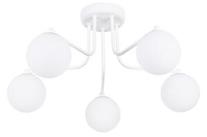 Sollux SL.1660 - Luster na tyči ASTRAL 5xG9/8W/230V biela