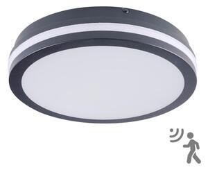 Brilagi - LED vonkajšie svietidlo so senzorom BENE LED/24W/230V priemer 26 cm IP54