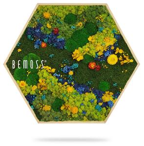 Machový Hexagon BEMOSS® ORTHO TORRES