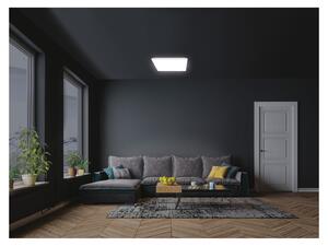 Livarno home Stropné LED svietidlo (štvorec) (100365443)