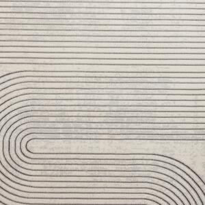 Sivý/béžový koberec 220x160 cm Apollo - Think Rugs