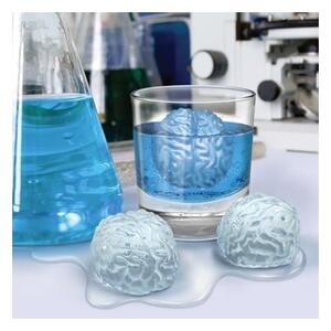 DR Ľadové mozgy