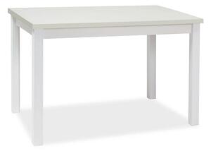 Najlacnejsinabytok ADAM jedálenský stôl 100x60 cm, biela matná