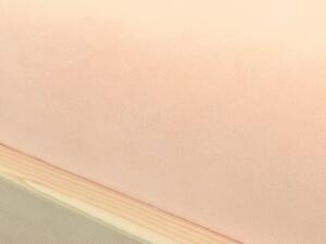 Benlemi Jednolôžkové prestieradlo z mikroplyše Zvoľte farbu: Šedá, Rozmer: 70 x 160 cm