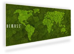 Machový obraz Mapa sveta FLATMOSS & BOLMOSS