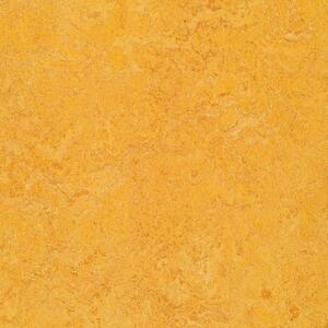 FORBO Marmoleum marbled real Dandelion 3225 - 2 bm