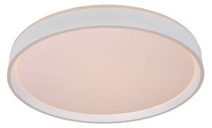 Stropné svietidlo NURIA LED36W, D50, White