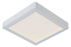 Svietidlo stropné-podhľadové TENDO White LED17W, 3000K