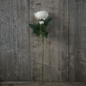 Pivónia farebná, umelý kvet 65cm farba: biela