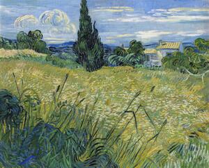 Obrazová reprodukcia Green Wheat Field with Cypress (1889), Vincent van Gogh