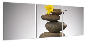 Relaxačné obraz - kamene (Obraz 90x30cm)