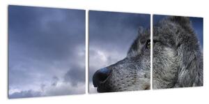 Obraz vlka (Obraz 90x30cm)