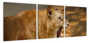Obraz revúceho leva (Obraz 90x30cm)