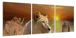 Obrazy zvierat (Obraz 90x30cm)