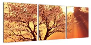 Obraz prírody - strom (Obraz 90x30cm)
