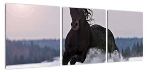 Obraz kone v snehu (Obraz 90x30cm)