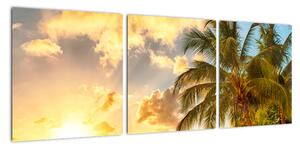 Obraz palmy na piesočnatej pláži (Obraz 90x30cm)