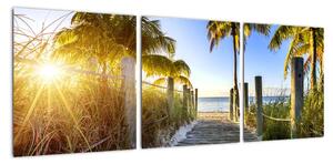 Moderný obraz do bytu - tropický raj (Obraz 90x30cm)
