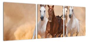 Obrazy bežiacich koní (Obraz 90x30cm)