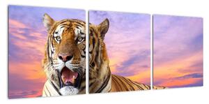 Obraz ležiaceho tigra (Obraz 90x30cm)