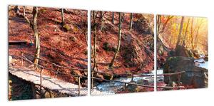 Obraz mosta - jesenné cesta lesom (Obraz 90x30cm)