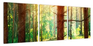 Moderný obraz - les (Obraz 90x30cm)