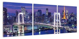 Obraz osvetleného mosta (Obraz 90x30cm)