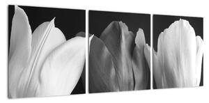 Čiernobiely obraz - tri tulipány (Obraz 90x30cm)