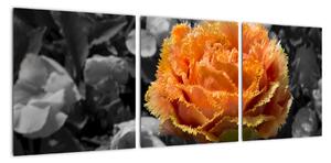 Oranžový kvet na čiernobielom pozadí - obraz (Obraz 90x30cm)