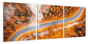 Cesta lesom - moderné obrazy na stenu (Obraz 90x30cm)